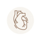 Heart Profile/ Lipid Profile
